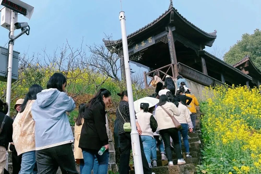 獻(xiàn)禮3.8節(jié)|勇做攀登者，奮進(jìn)新未來