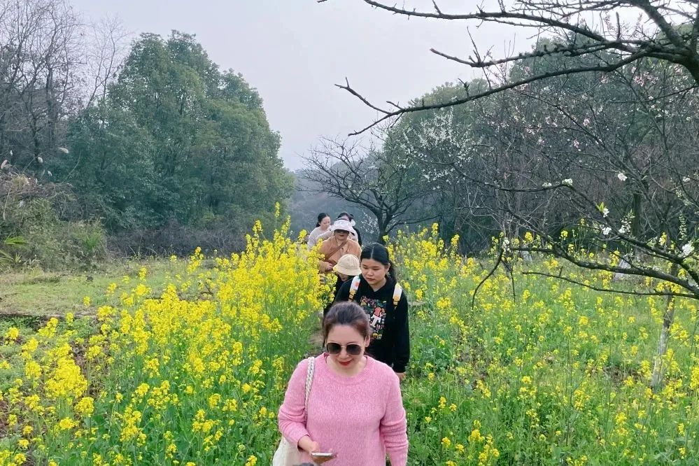 獻(xiàn)禮3.8節(jié)|勇做攀登者，奮進(jìn)新未來