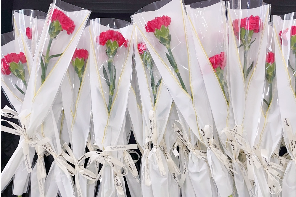 獻(xiàn)禮3.8節(jié)|勇做攀登者，奮進(jìn)新未來